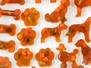 Dog gummy treats for tasty and healthy snacking