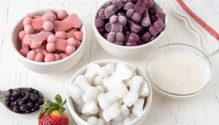 Frozen coconut milk dog treats for healthy dog snacks