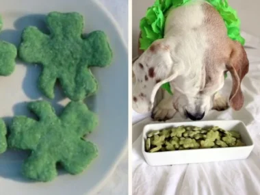 Homemade St. Patrick's Day dog treats on a festive background