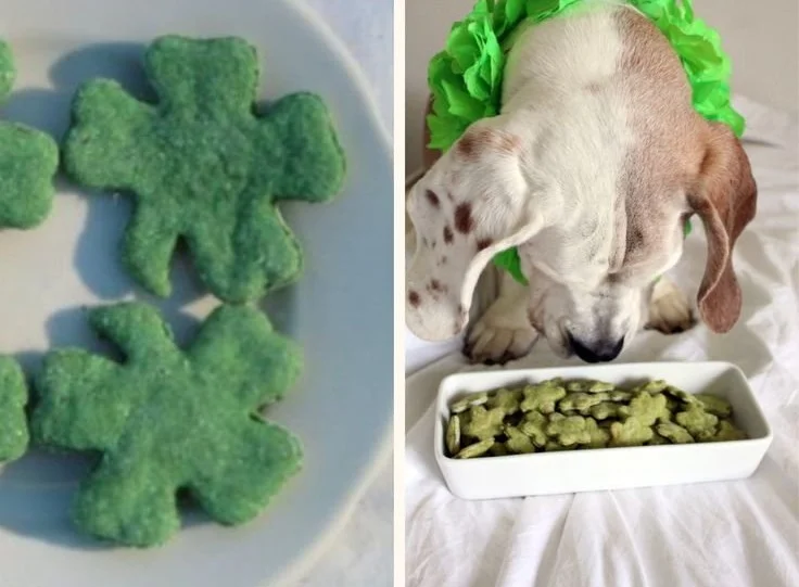 Homemade St. Patrick's Day dog treats on a festive background