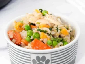 Homemade Instant Pot chicken and rice recipe for dogs in a bowl