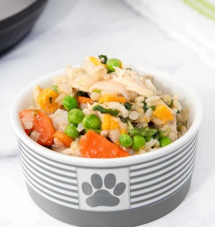 Homemade Instant Pot chicken and rice recipe for dogs in a bowl