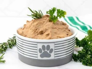 Homemade liver pâté for dogs in a bowl with dog treat biscuits