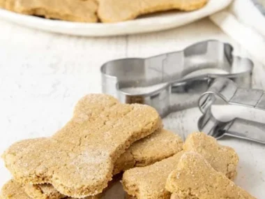 Homemade peanut butter oatmeal dog treats for happy pets