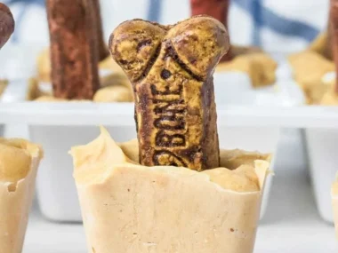 Homemade peanut butter popsicles for dogs on a sunny day