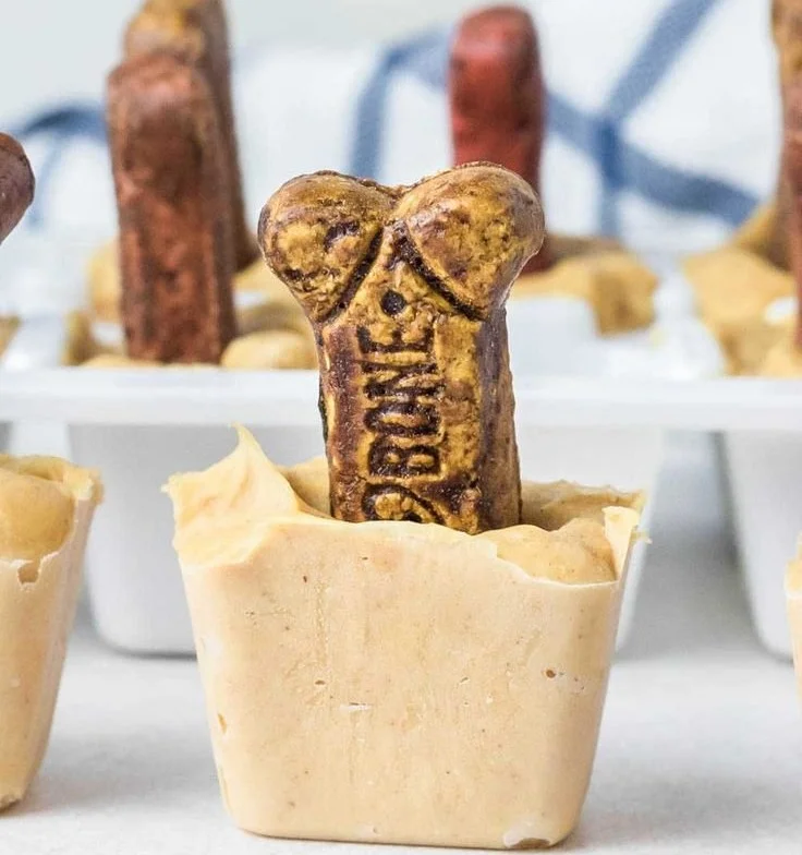 Homemade peanut butter popsicles for dogs on a sunny day