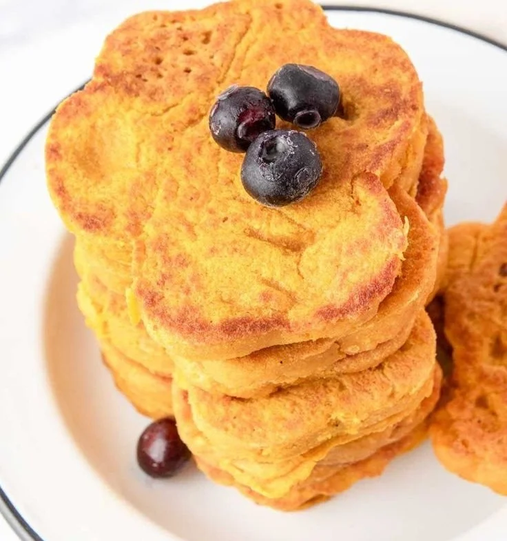 Homemade pumpkin pancakes for dogs served on a plate