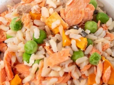 Salmon dog food rich in nutrients for healthy dogs