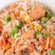 Salmon dog food rich in nutrients for healthy dogs
