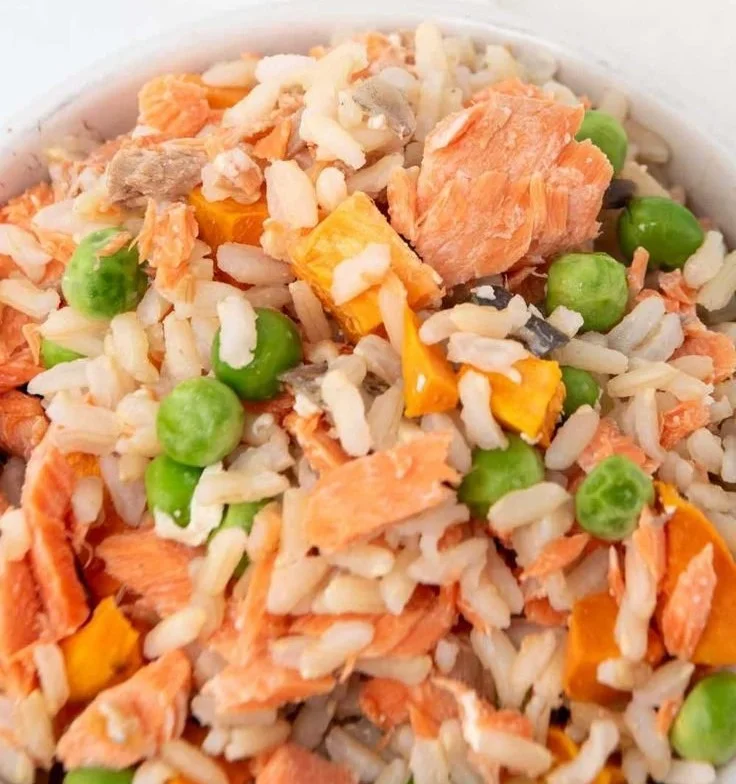 Salmon dog food rich in nutrients for healthy dogs