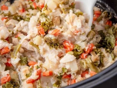 Bowl of slow cooker chicken and rice for dogs, healthy pet food recipe