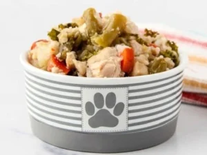 Delicious slow cooker chicken and rice dish made for dogs