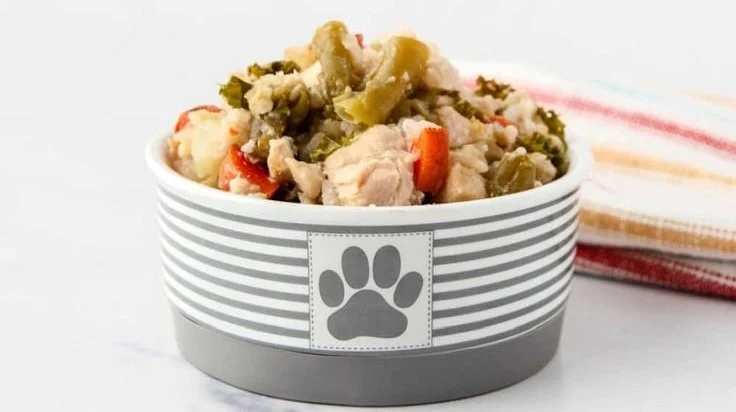 Delicious slow cooker chicken and rice dish made for dogs