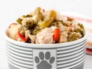 Slow cooker chicken and rice recipe for dogs