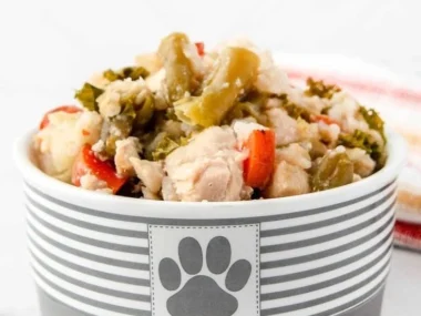 Slow cooker chicken and rice recipe for dogs
