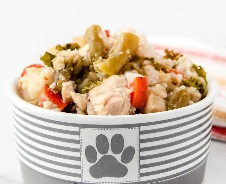Slow cooker chicken and rice recipe for dogs
