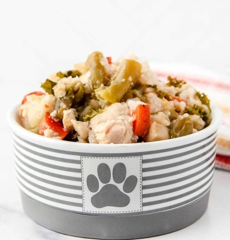 Slow cooker chicken and rice recipe for dogs