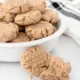 Delicious homemade snickerdoodle dog treats on a plate