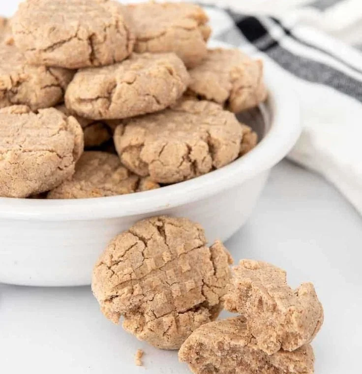 Delicious homemade snickerdoodle dog treats on a plate