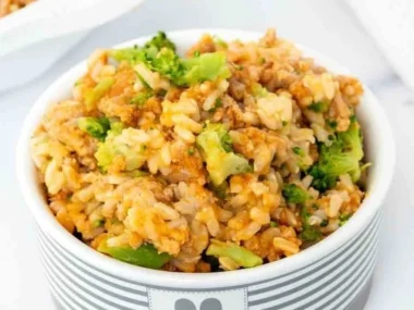 Turkey and Pumpkin Dog Food for optimal canine health and nutrition