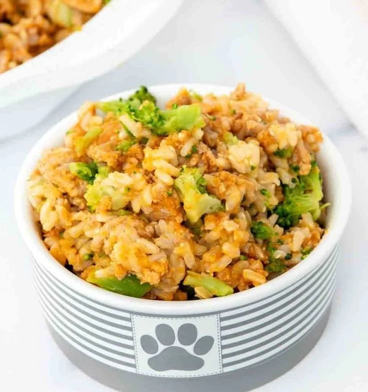 Turkey and Pumpkin Dog Food for optimal canine health and nutrition